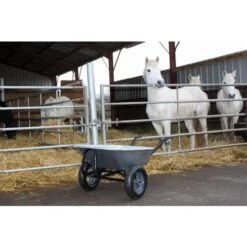 Brouette Haemmerlin EXPERT TWIN Premium 150 L Galva à Roues Gonflées - 306015201 -Pro Jardin Soldes AFD 114966