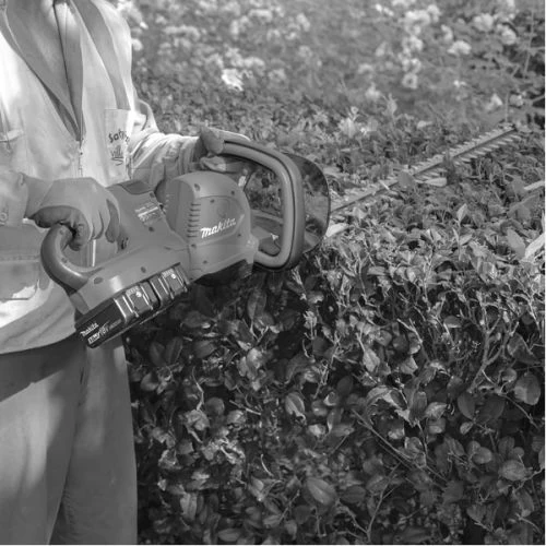 Taille-haie 36 V Makita DUH551RF2, 2 Batteries 3 Ah, Chargeur 2 Taille-haie 36 V Makita DUH551RF2, 2 Batteries 3 Ah, Chargeur – Image 2