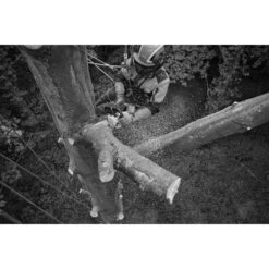 Tronçonneuse à Batterie Stihl MSA 220 T (machine Seule) Rollo E Light 35 Cm PS 3 3/8'' -Pro Jardin Soldes AFD 152485