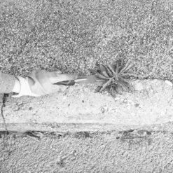 Couteau Grattoir Pour Dalle Mermier Affuté En Acier Avec Manche Ergonomique - 344014 -Pro Jardin Soldes AFD 181687