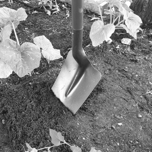 Pelle De Jardin Mermier PRO TERRASSIER Carrée à Col De Cygne En Acier Trempé 2 Pelle De Jardin Mermier PRO TERRASSIER Carrée à Col De Cygne En Acier Trempé – Image 2