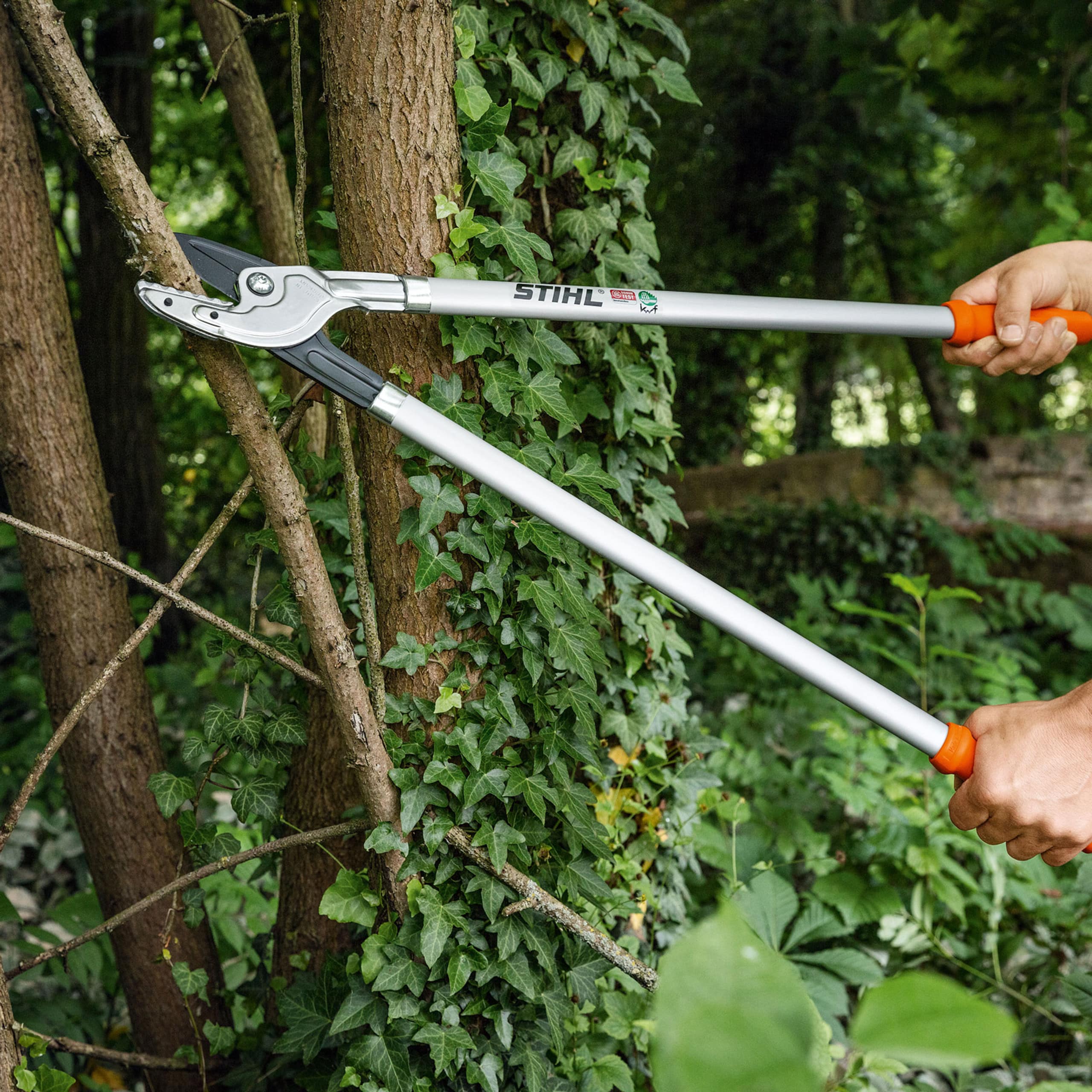 Pro Jardin Soldes -Pro Jardin Soldes file input 1649153538477 88083 min